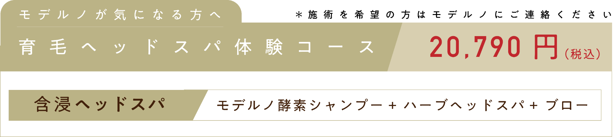 多治見市美容室モデルノ